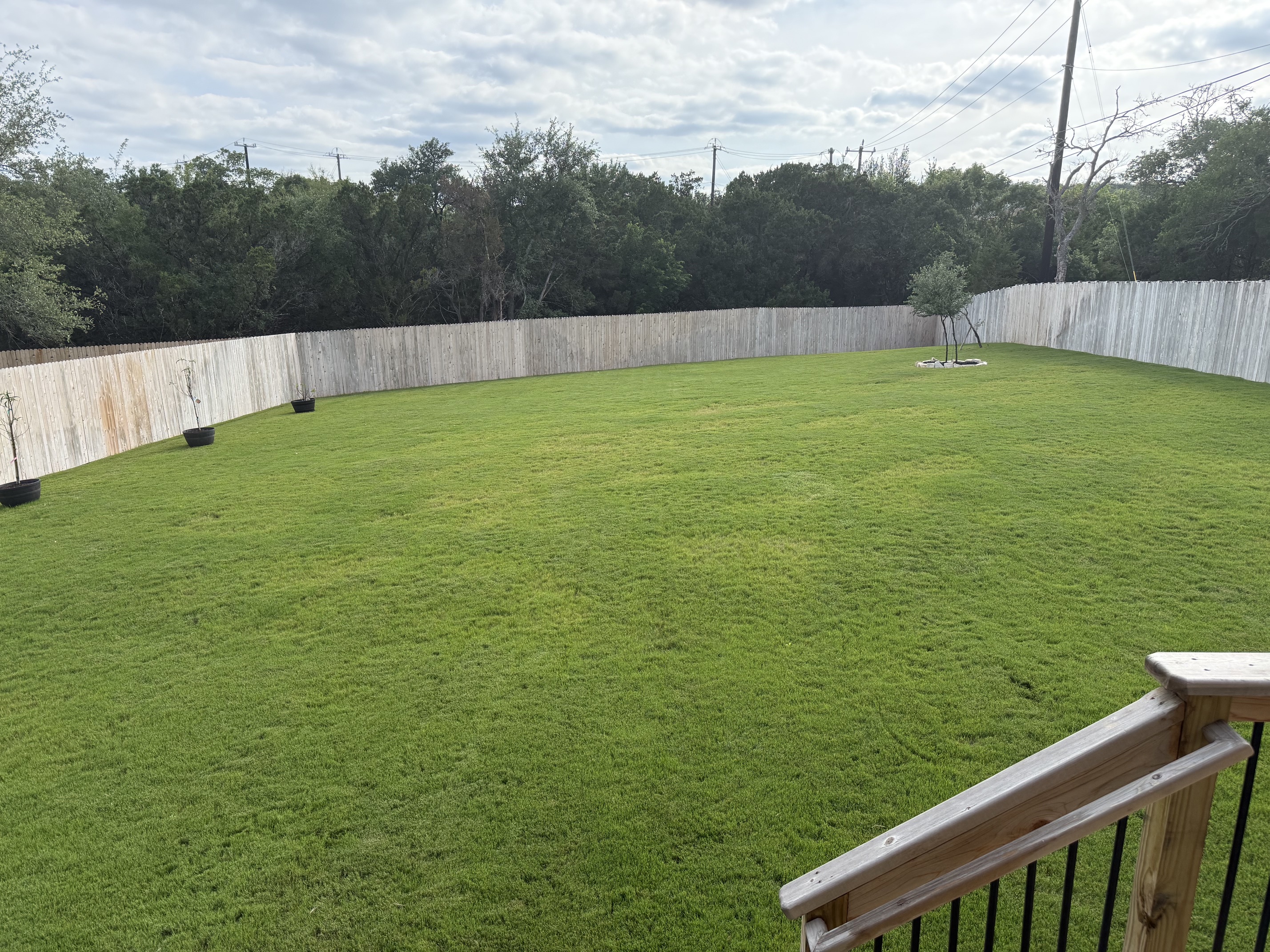 Parks Lawn After Treatment